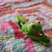 Kermit and quilt by edorreandresen