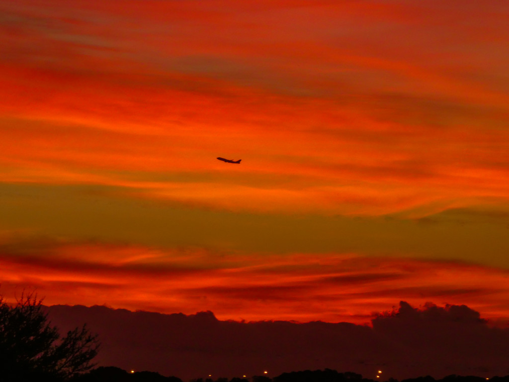 The orange sunset photobombed........ by ludwigsdiana