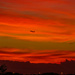 The orange sunset photobombed........ by ludwigsdiana