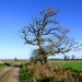 Blue skies on the Levels by julienne1