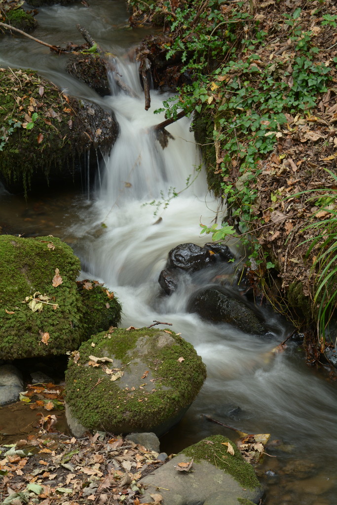 Mossy boulders and stream... by ziggy77
