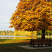 More Autumn Colors at Green Lake by seattlite