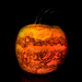 Pumpkin 24 by loweygrace