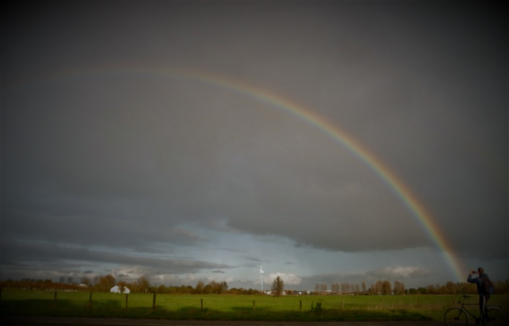 DSCN3752 rainbow above the meadow by marijbar