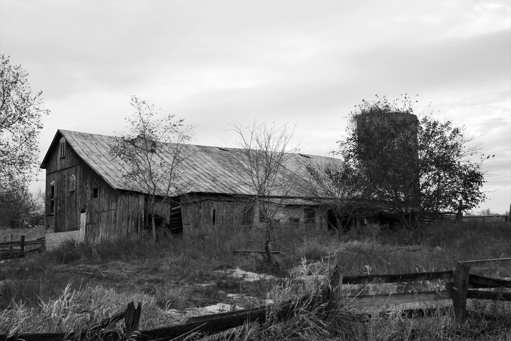 Old Barn by randy23