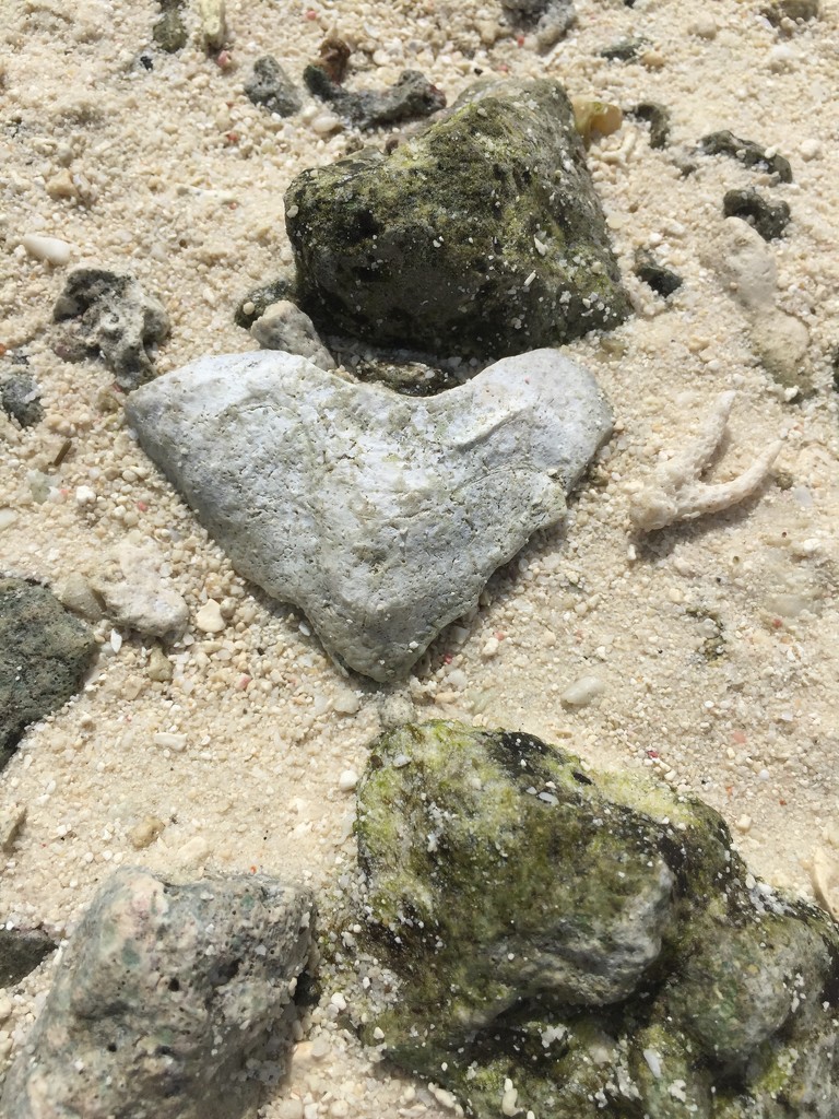  Heart on the beach.  by cocobella
