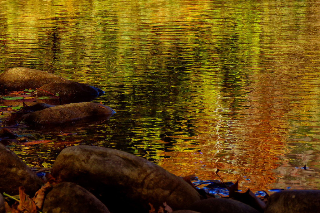 Pond Abstract by milaniet