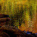 Pond Abstract by milaniet