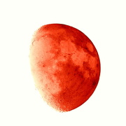 30th Oct 2017 - Orange you glad it's a moon?