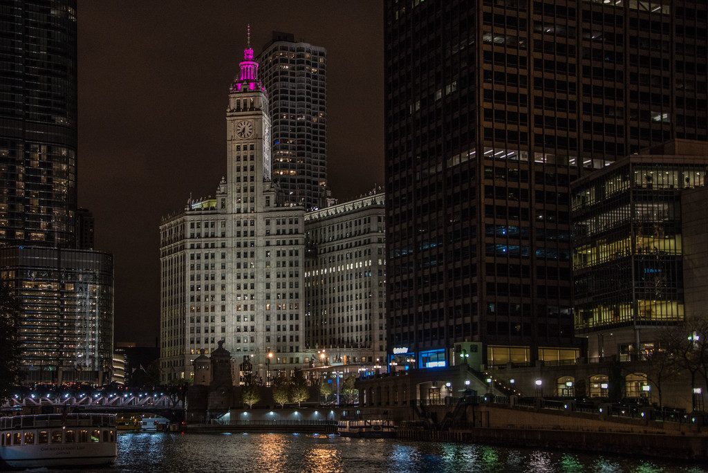 Wrigley Building Stands Proud by taffy