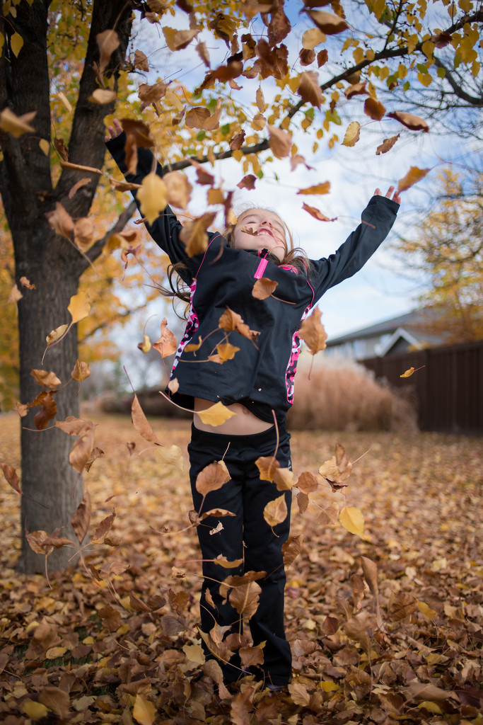 Falling for Fall by tina_mac