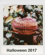 31st Oct 2017 - Knitted Pumpkin