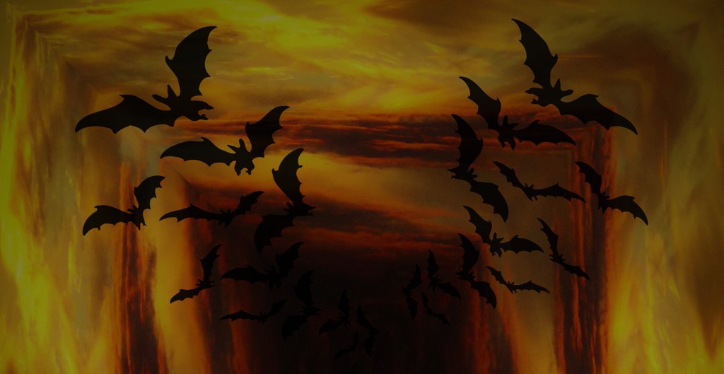 Bats out of Hell by suzanne234