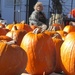 Anyone want a pumpkin? by helenhall