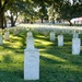 Baton Rouge National Cemetery by eudora
