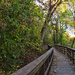Along the Katy Trail by milaniet