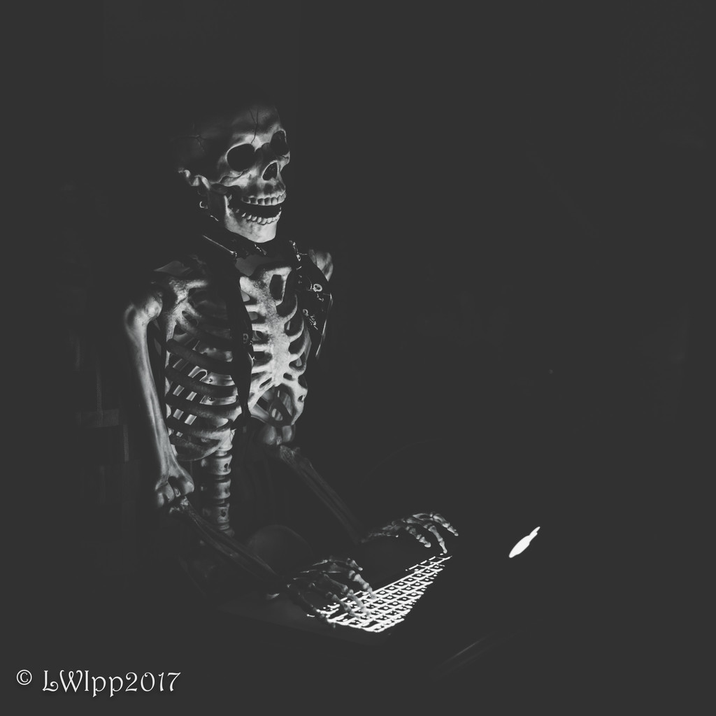 Searching The Dark Web by lesip