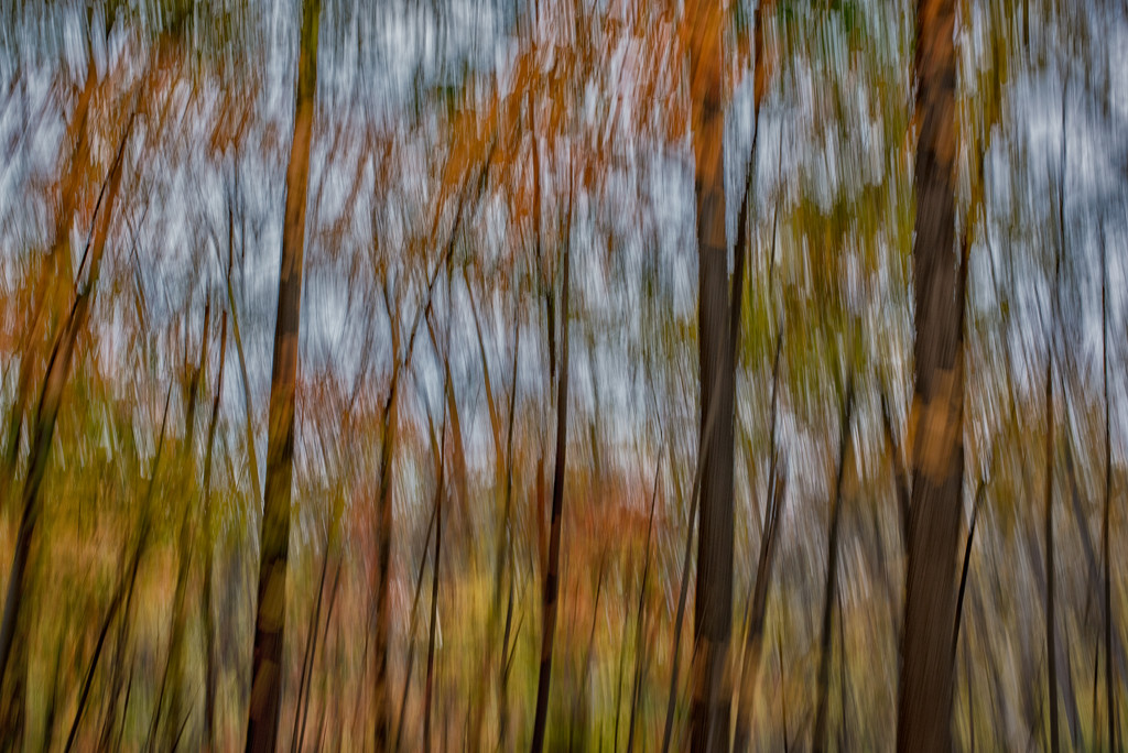 icm autumn by jackies365