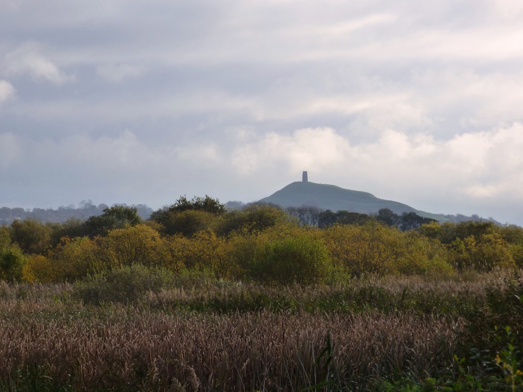 Glastonbury Tor from the Avalon marshes by julienne1