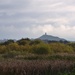 Glastonbury Tor from the Avalon marshes by julienne1