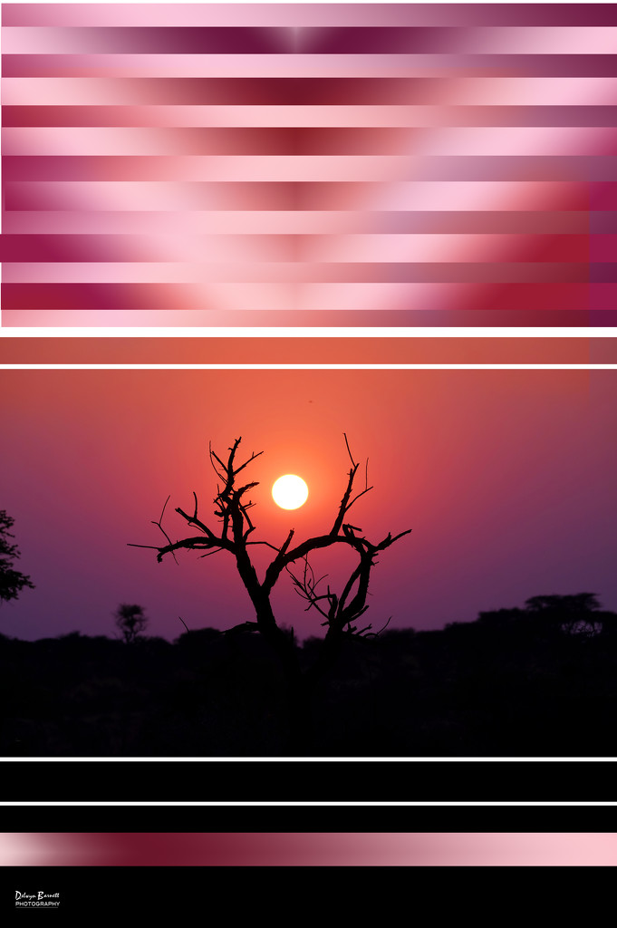 Sunrise at Okonjima by dkbarnett