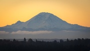24th Oct 2017 - Mount Rainier in the Morning