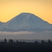 Mount Rainier in the Morning by jyokota