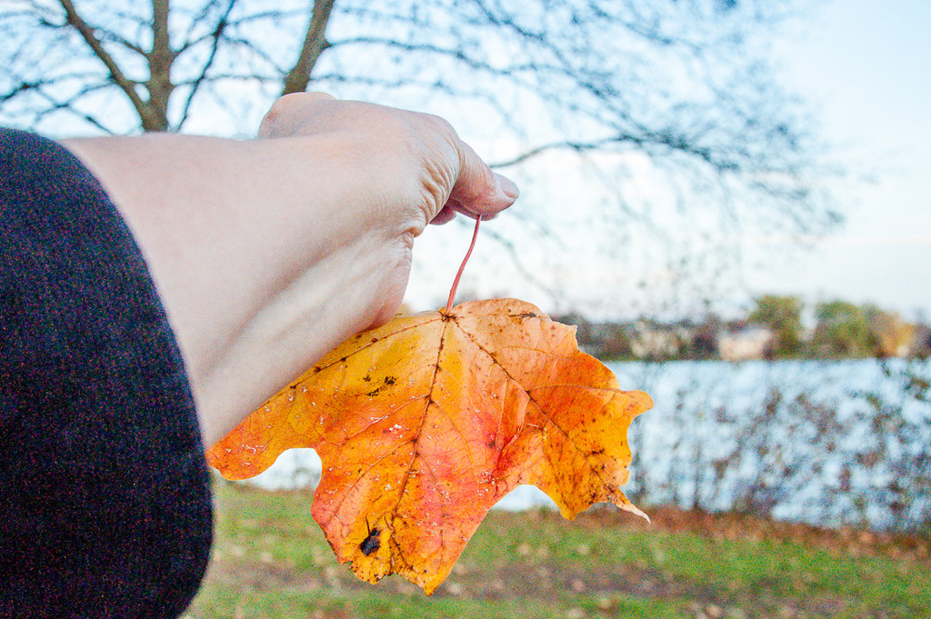 I love autumn by joansmor