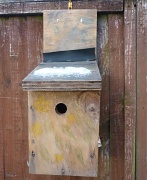 2nd Jan 2011 - bird box