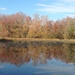 Fall at Clay Bottom Pond  by gratitudeyear