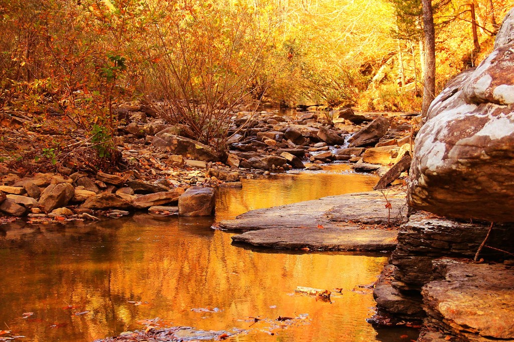 The Golden Creek by milaniet