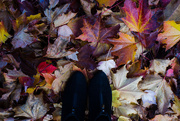 2nd Nov 2017 -  Feet in autumn