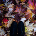  Feet in autumn by cristinaledesma33