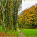 Autumn In The Park by carolmw