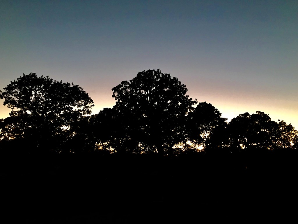 A Texas sunset by louannwarren