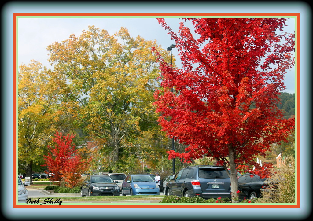 Colorful Parking Lot by vernabeth