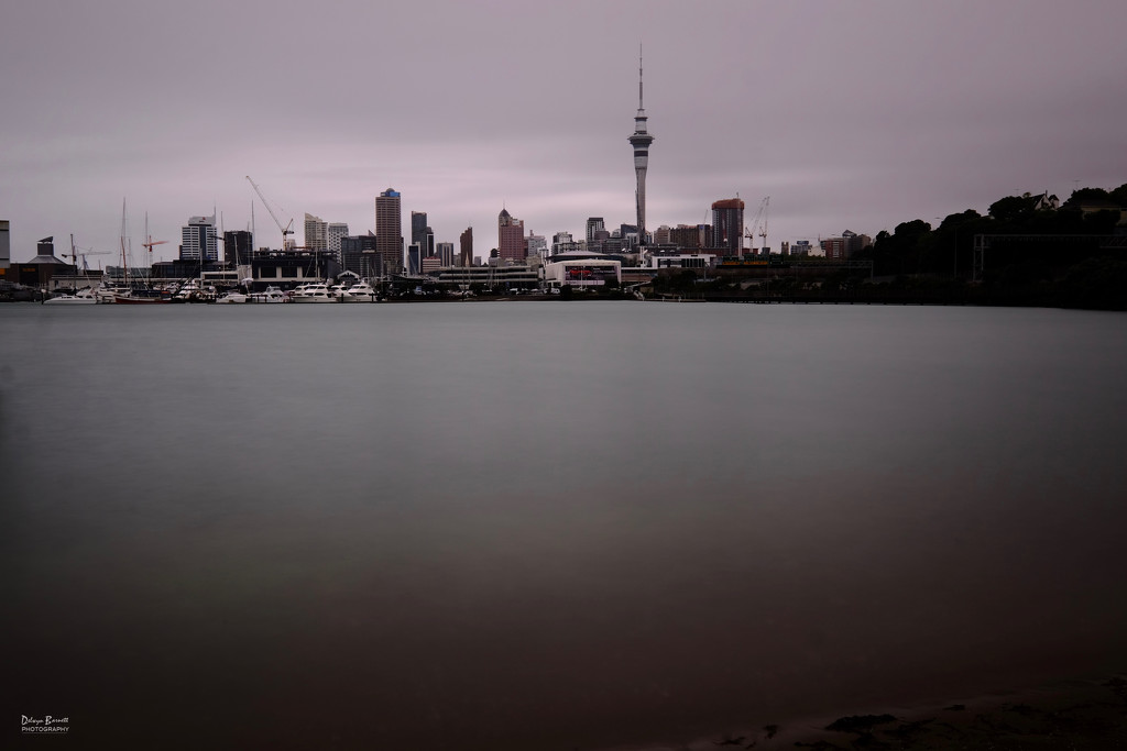 Auckland City from Westhaven Beach by dkbarnett