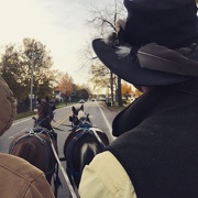 3rd Nov 2017 - Wagon rides 