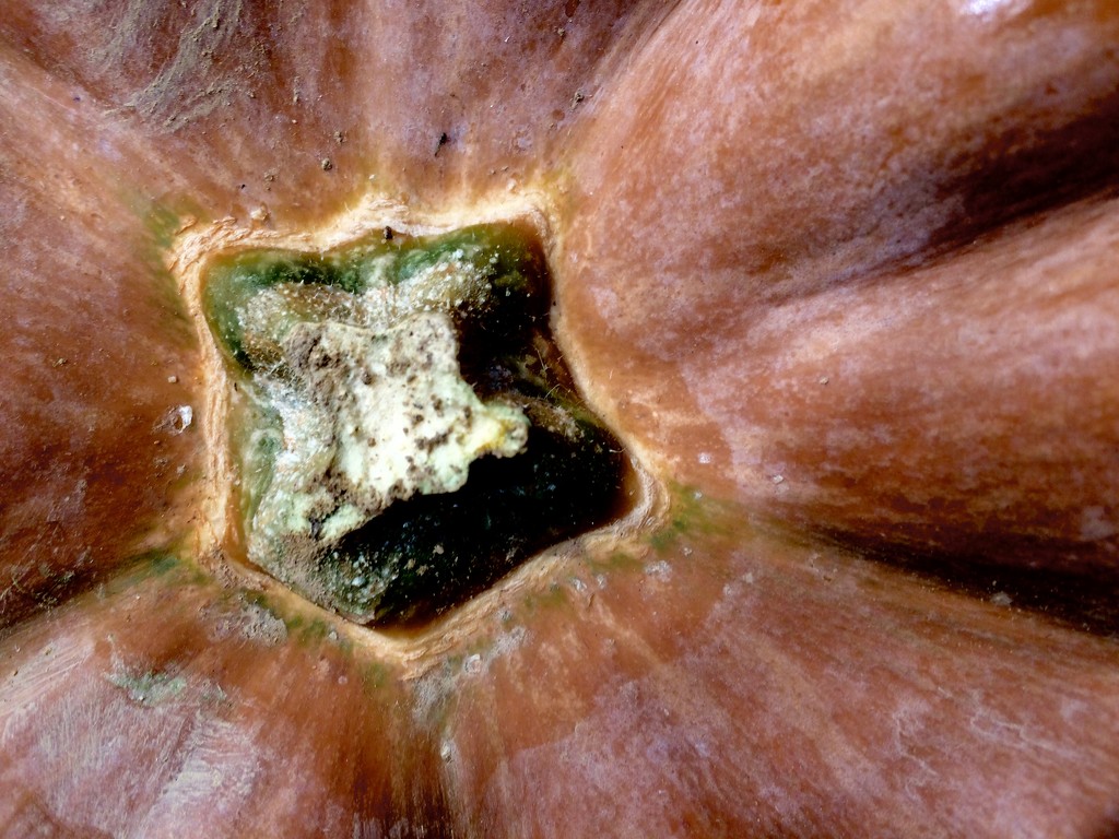 Abstract pumpkin by vincent24