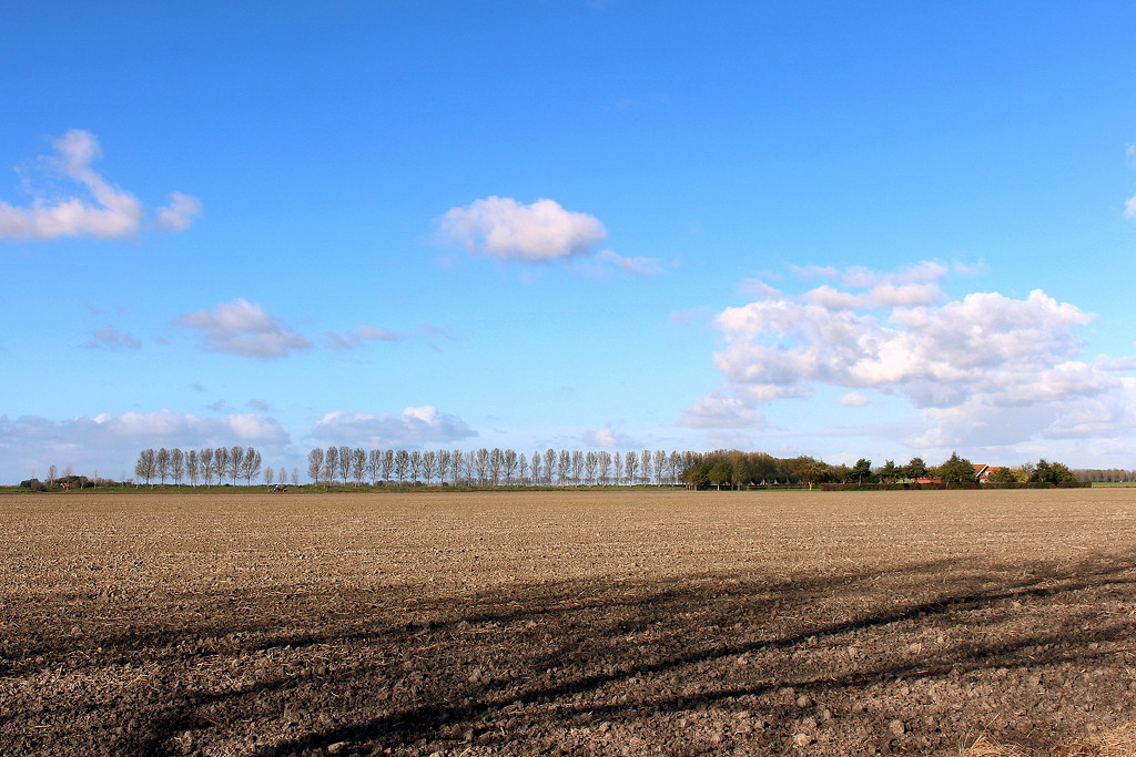 Farmhouses and Autumn field scene by pyrrhula