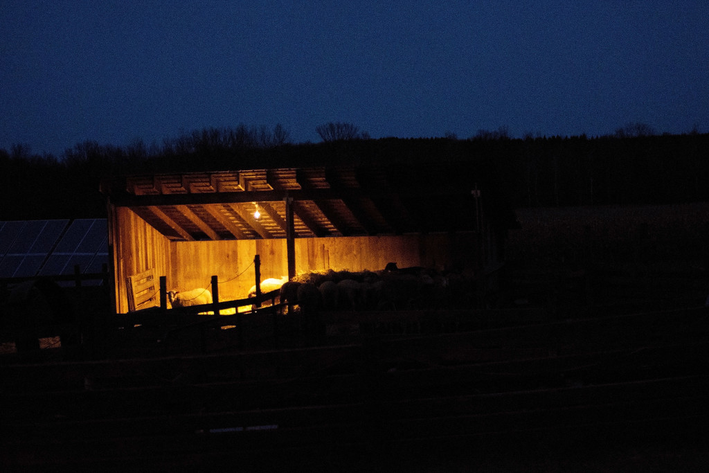 Light Against the Darkness by farmreporter
