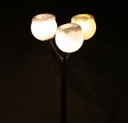 1st Jan 2011 - Lamps IMG_2902
