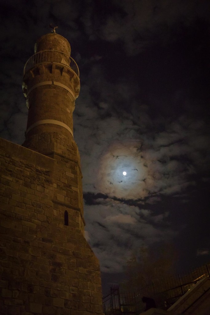Mosque, Moon, and Cat by jyokota