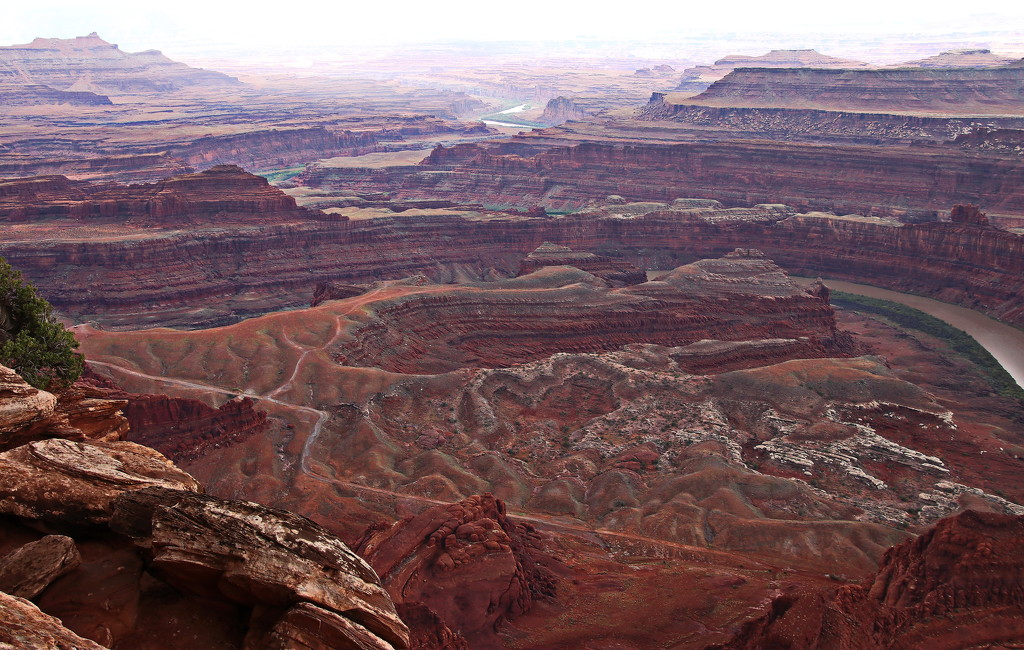 Dead Horse Point Overlook by terryliv
