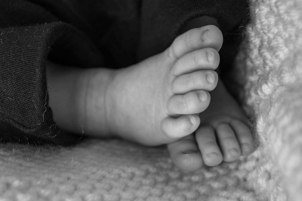 Baby toes! by danette
