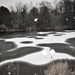 Snow on the pond by caitnessa