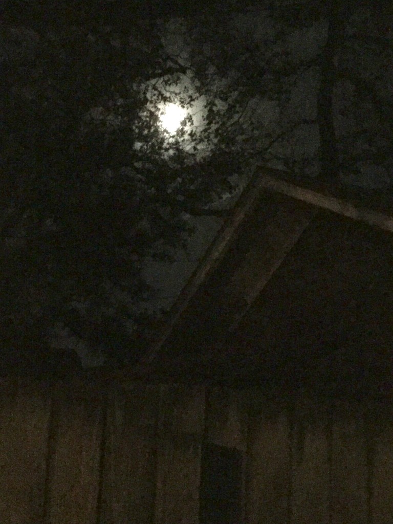 Moon over Neighbor's Garage by mcsiegle