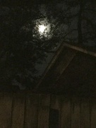 21st Oct 2017 - Moon over Neighbor's Garage