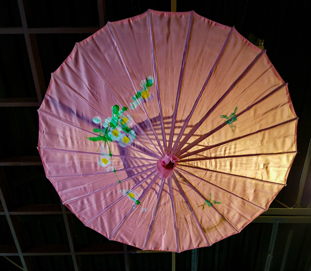 Pink umbrella by randystreat