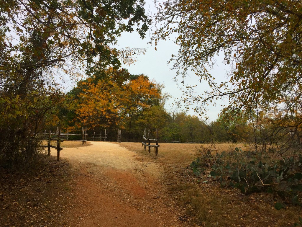 Fall Path by 365projectorgkaty2